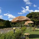 맑은물민박 이미지