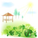 피브로한의원 이미지