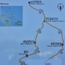 알파이용원