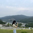 목내농장 2 | [충북 가볼만한곳] 증평 벨포레 목장(입장료/양몰이공연/루지/놀이공원)