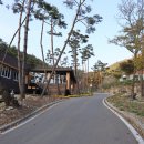 대봉산자연휴양림 이미지
