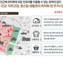 펠리체플러스 이미지