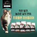 리브동물병원 이미지
