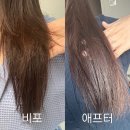 다이소 헤어 트리트먼트 오일 에센스 손상모 꿀조합 추천 후기 💜