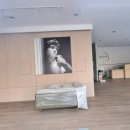 용인랜드 부동산중개 이미지