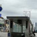 웰리스클리닉동물병원 | 유라인클리닉 윤곽주사 광대컷주사 6회차 후기 / 마지막 시술로 더욱 자연스러워진 얼굴 라인