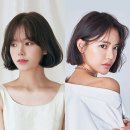사랑헤어 네이버블로그