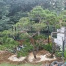 이재혁 농장 이미지