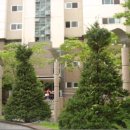 풀잎치과의원 이미지