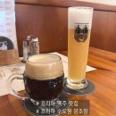 하니호프 | 체코 프라하 스트라호프 수도원 양조장 수제 맥주 맛집 예약방법 메뉴 방문 후기