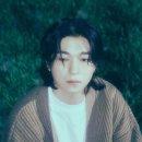 서정적 이미지