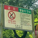 용소유원지 야영장 이미지