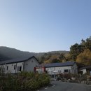 다이노 꽃밭에서 이미지