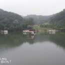 도라도라 이미지