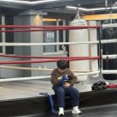 제로복싱 이미지