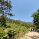 풍악산(600m)~노적봉(567.7m)전북 남원시 대사면 위치~2021년~4월~29일~목요일~날씨~맑음~ ~코스~흙농...