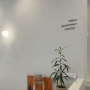 라르티스타 이미지