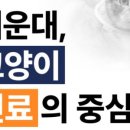 소정동물병원 이미지