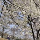 봄여름가을이야기 이미지