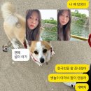 [오사카교토 Day 2] 주유패스 발바닥 아작난 날