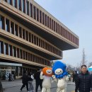 울릉프리미엄고로쇠