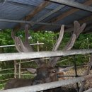 파란농장 이미지