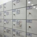 댕댕가르텐 강아지애견유치원호텔 이미지