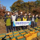 강화군 산림조합 이미지