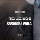 모리바이브리버스