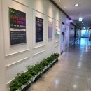 분당-389 이미지