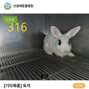 신영재동물병원 이미지