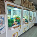 스마일뽑기방 네이버블로그