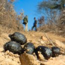 렌즈포유 이미지