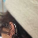 푸른소리 보청기 이미지