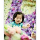 대전돌스냅☆,대전아기사진,대전야외촬영,대전돌잔치 [사랑이]님 대전해피포토에 돌스냅문의주신 내용 답변드렸습니다 이미지