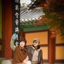 청사로-11 이미지