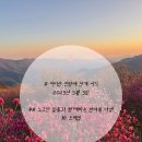 노고단-13 | 지리산 노고단 진달래 일출 최단 코스 /반야봉 야생화 등산 코스