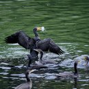 장안구민회관 이미지