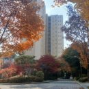 강남114부동산공인중개사사무소 이미지