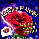 경기방출석부 6월14일(수요일)~불면증에 좋은것들..~ 이미지