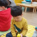 비즈팝 Daum카페