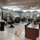 댕댕이 커트방 이미지