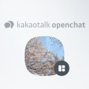 다운타운 이미지