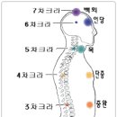 챠크라는 실제로 존재한다 이미지