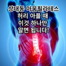 구암동316 | [공지] [상대동 필라테스] 지긋지긋한 허리통증, 어떻게 해야 할까요?
