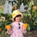 꿈내리어린이집 이미지