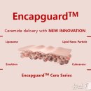 케어가드 이미지