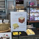 뚜레쥬르 신상빵 한장씩 뜯어먹는 32겹 브레드 / 카스테라 우유 크림볼 후기