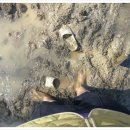 토종농장 이미지