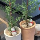 나만의향수만들기 | [마포/합정] 홍대향수공방 &#39;아로마인드&#39; 원데이클래스 후기